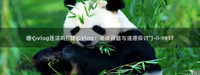 糖心vlog能退款吗