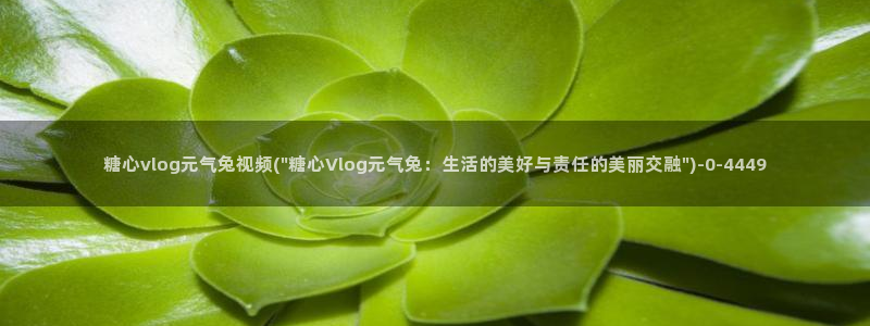 糖心vlog小鹿