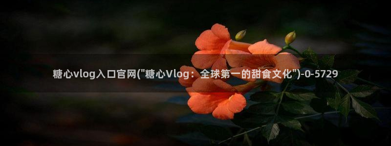糖心vlog入口在哪