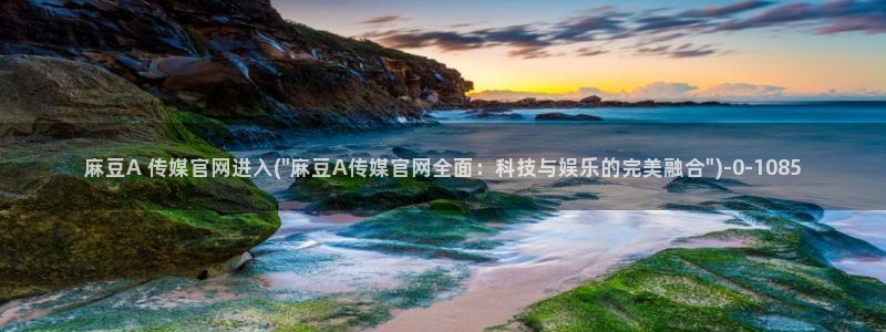 麻豆传媒官网全集：麻豆A 传媒官网进入(\