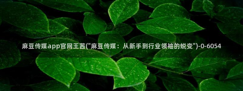 麻豆传媒动画官网：麻豆传媒app官网王茜(\