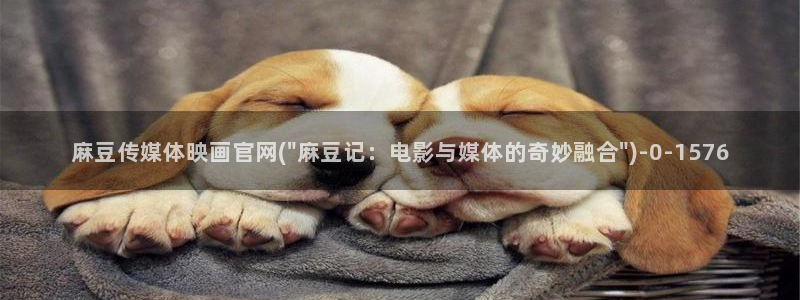麻豆tv映画传媒官网：麻豆传媒体映画官网(\
