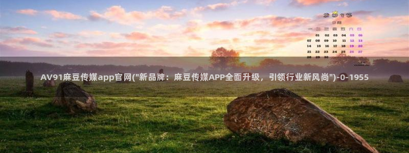 麻豆映象传媒官网：AV91麻豆传媒app官网(\