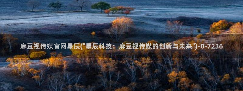 麻豆经济传媒官网：麻豆视传媒官网星辰(\