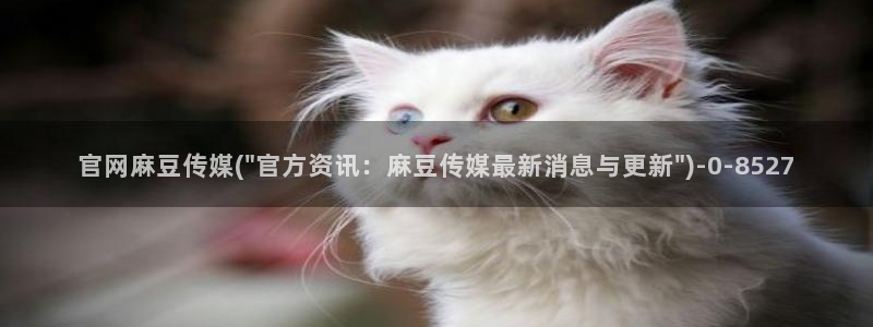 91麻豆传媒官网APP：官网麻豆传媒(\