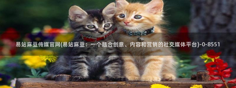 麻豆直播传媒官网