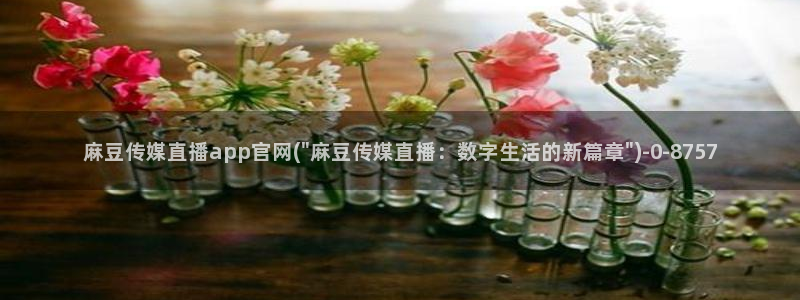 麻豆传媒媒体官网：麻豆传媒直播app官网(\