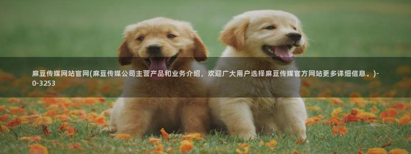 官网麻豆传媒视频：麻豆传媒网站官网(麻豆传媒公司主营产品和业务介绍，欢迎广大用户选择麻豆传媒官方网站更多详细信息。)
