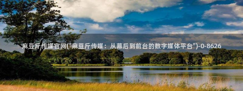 国产之光麻豆传媒官网：麻豆斤传媒官网(\