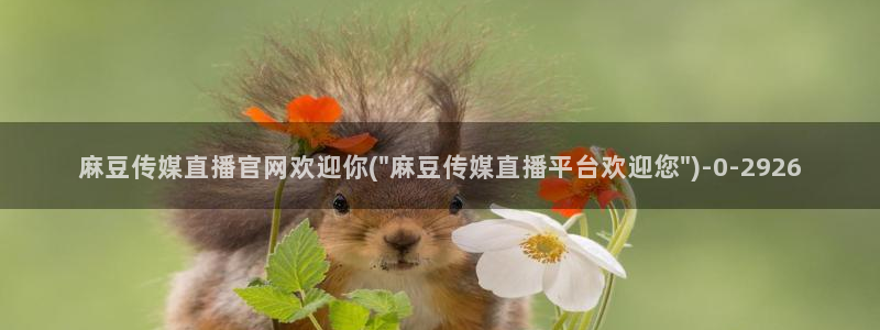 麻豆a原创传媒官网：麻豆传媒直播官网欢迎你(\
