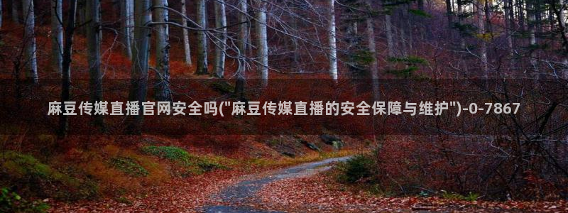 麻豆传媒直播官网：麻豆传媒直播官网安全吗(\
