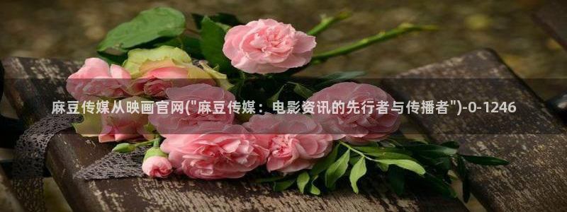 麻豆传媒官网版下载：麻豆传媒从映画官网(\