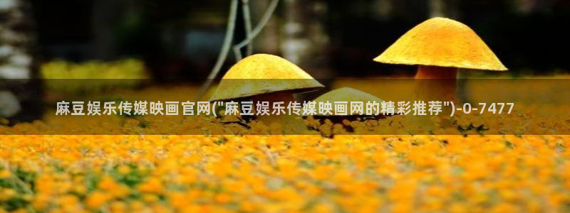 麻豆app传媒官网：麻豆娱乐传媒映画官网(\