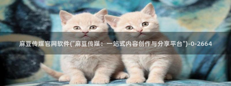 官网麻豆传媒：麻豆传媒官网软件(\