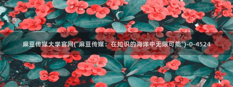 麻豆传媒官网兑换码：麻豆传媒大学官网(\