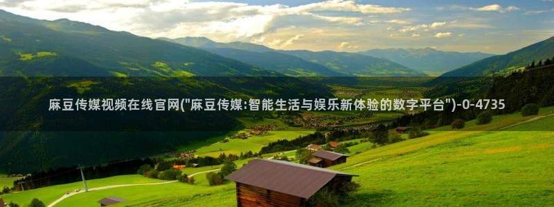 武汉麻豆传媒官网：麻豆传媒视频在线官网(\