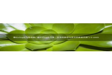 糖心vlog小鹿：糖心vlog元气兔视频(\