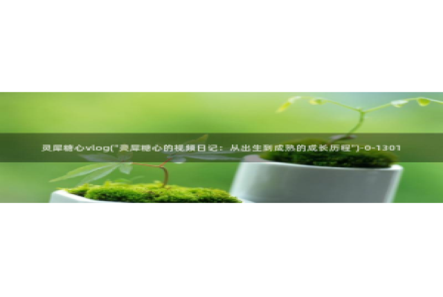 糖心vlog传媒林：灵犀糖心vlog(\