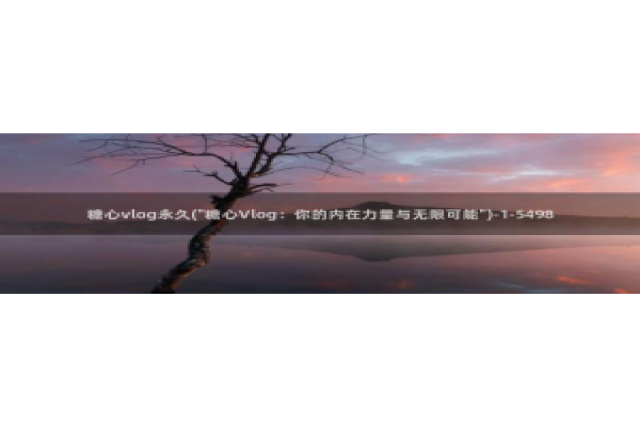 糖心vlog版本ios：糖心vlog永久(\