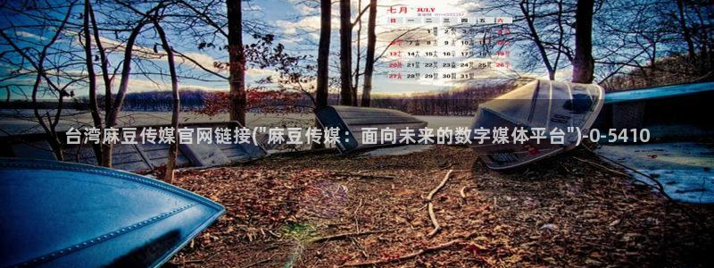 台湾麻豆传媒原创官网