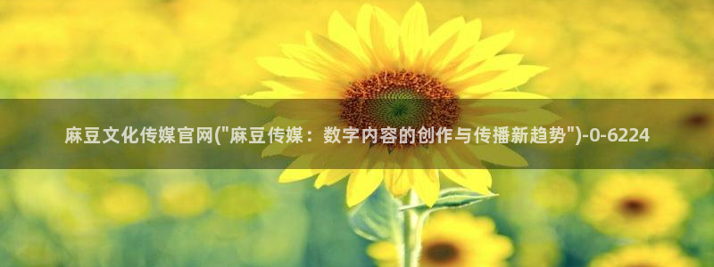 麻豆传媒官网连接