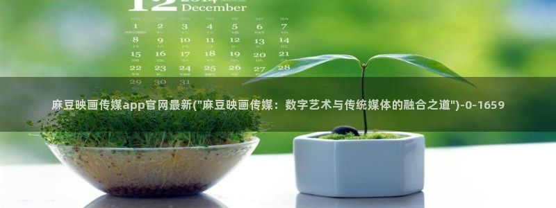 麻豆画精品传媒官网