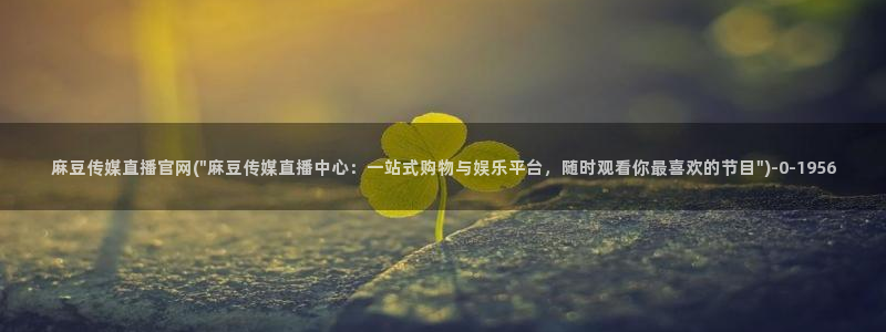 麻豆传媒官网怎么破解